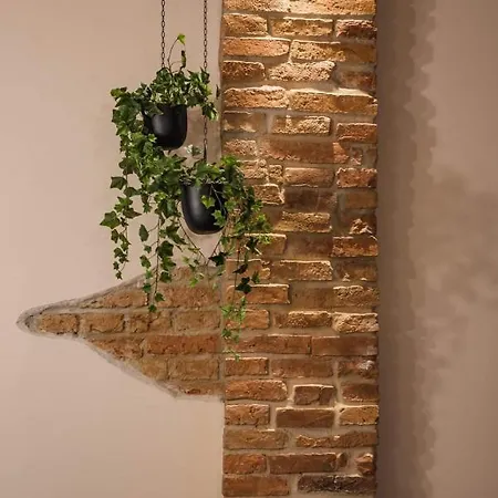 Apartment Casa - Homes Brasov